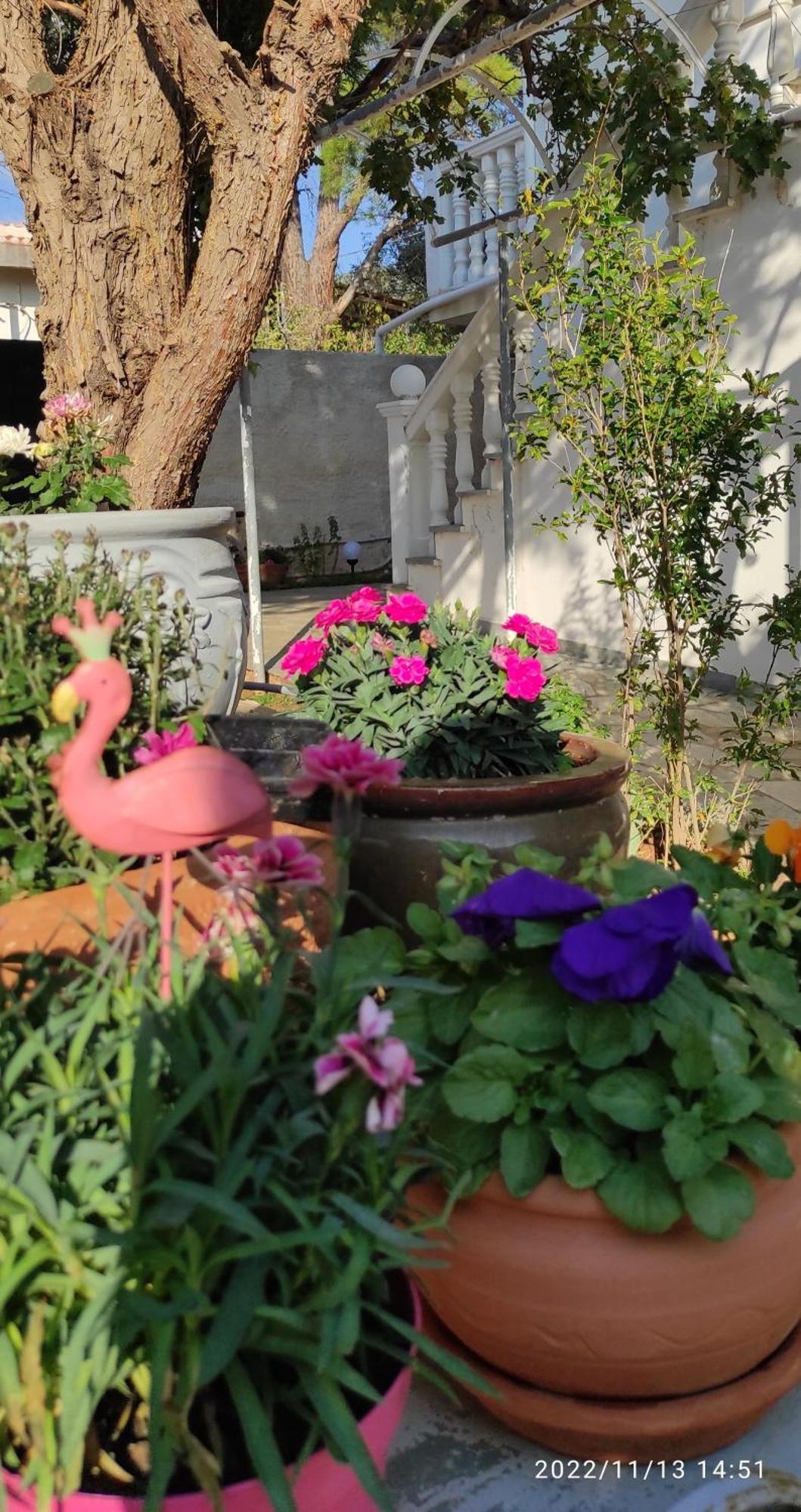 Best House, Secret Garden Home, Lagonisi, Attiki Melissourgoú Extérieur photo
