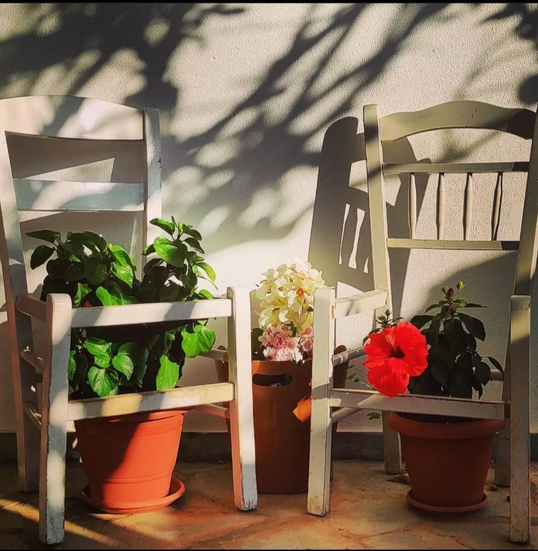 Best House, Secret Garden Home, Lagonisi, Attiki Melissourgoú Extérieur photo